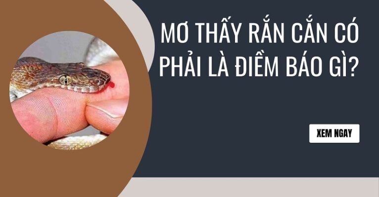 Nằm mơ rắn cắn là giấc mơ khiến rất nhiều người lo sợ