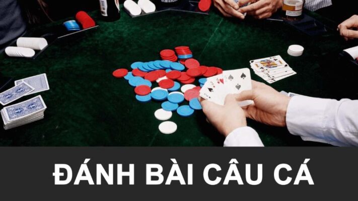 Chơi bài câu cá như thế nào là hợp lý?