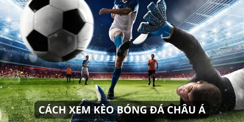 Cách xem kèo bóng cá cược châu Á