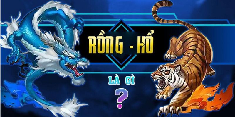 Có nhiều yếu tố giúp bạn gắn bó với tựa game rồng và hổ 